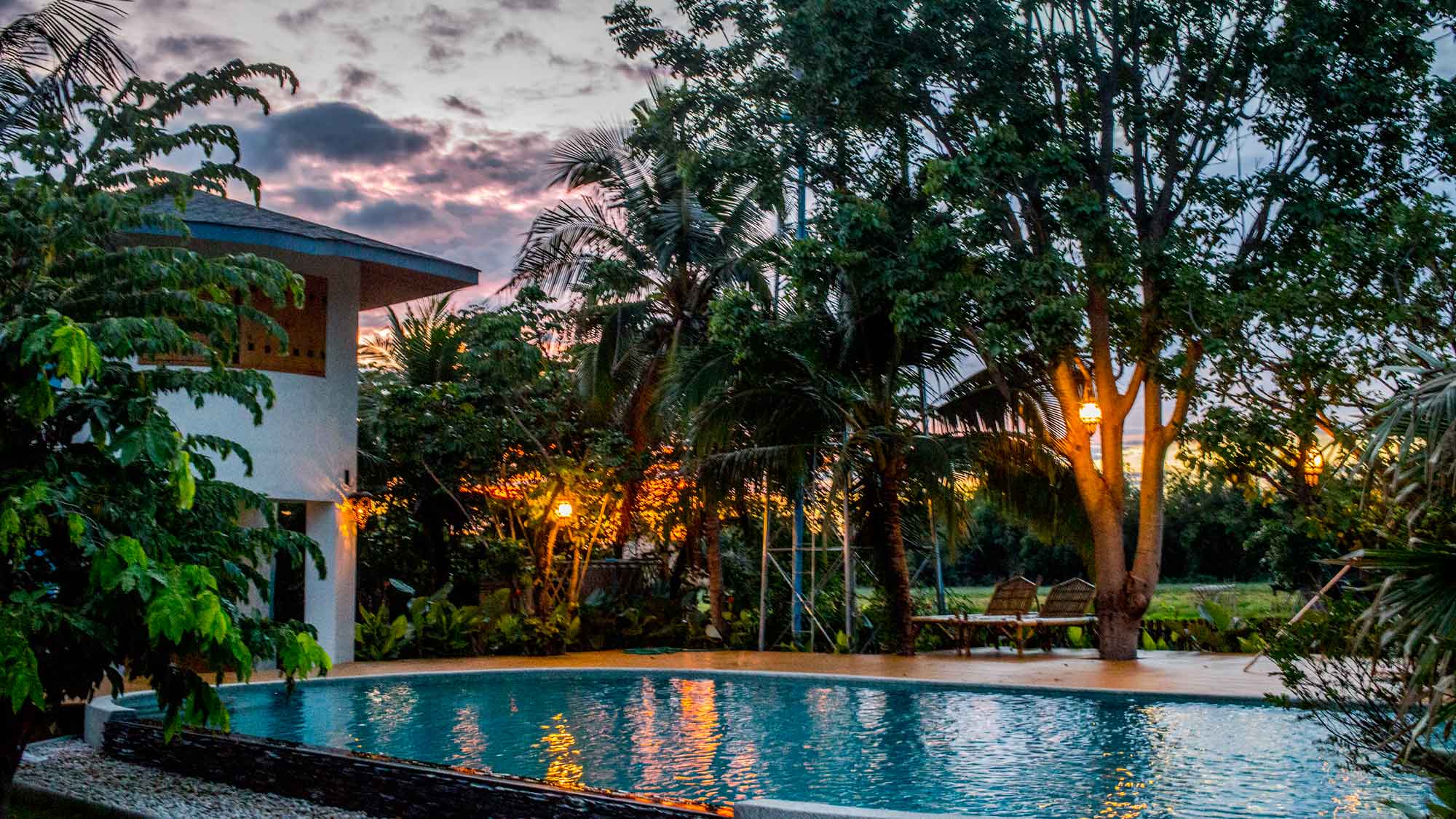 View at dusk of the Mala Dhara Yoga Retreat Center saltwater pool with organic rice paddies from Mala Dhara organic farm in the background.