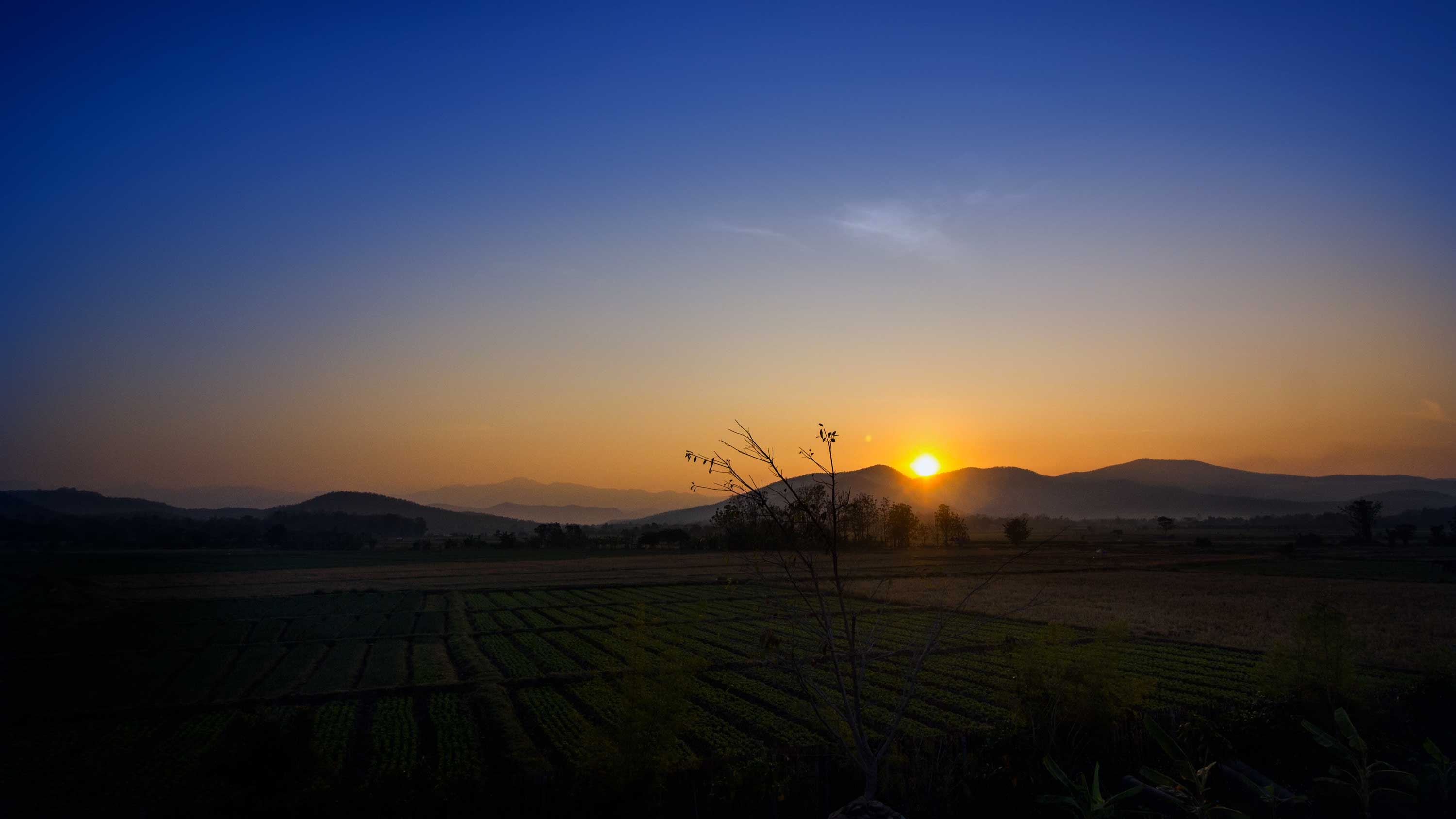 Dhara Yoga Retreat Center view of sunset of rice fields