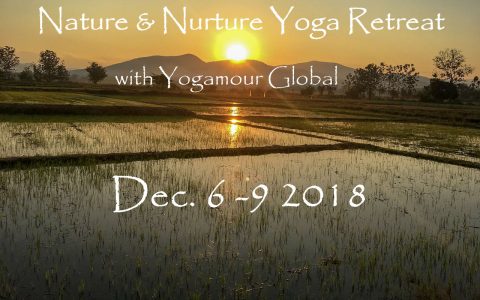 Yogamour Global will host a yoga retreat at Mala Dhara Eco Resort & Yoga Retreat Center Chiang Mai Thailand from December 6th - December 9th 2018