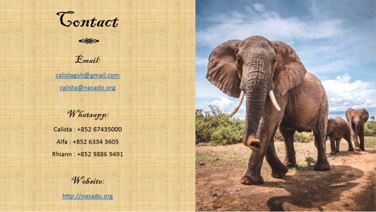 Contact Details for Akashic Records Retreat in Chiang Mai Thailand