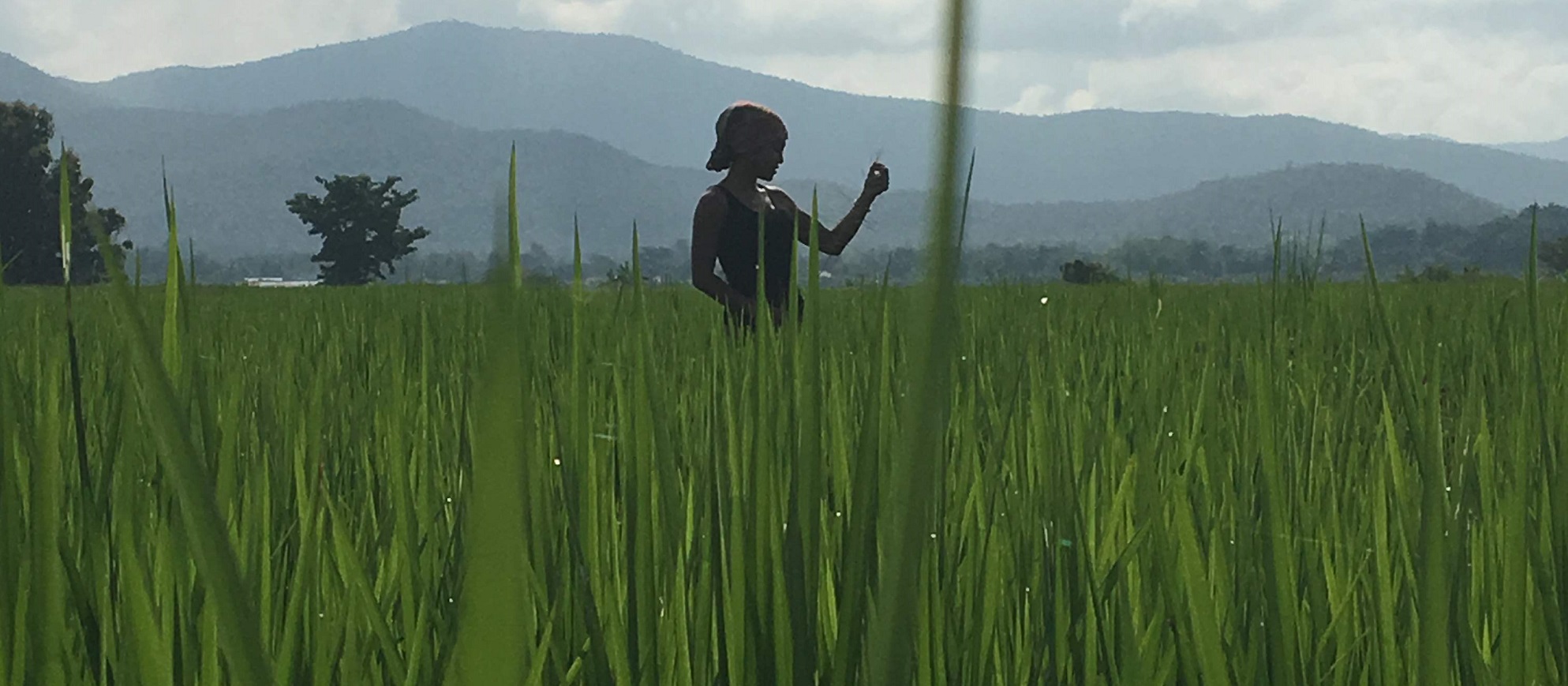 Chiang Mai April 2025 Yoga Retreat